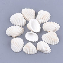 Cargar imagen en el visor de la galería, Clam shell pendant
